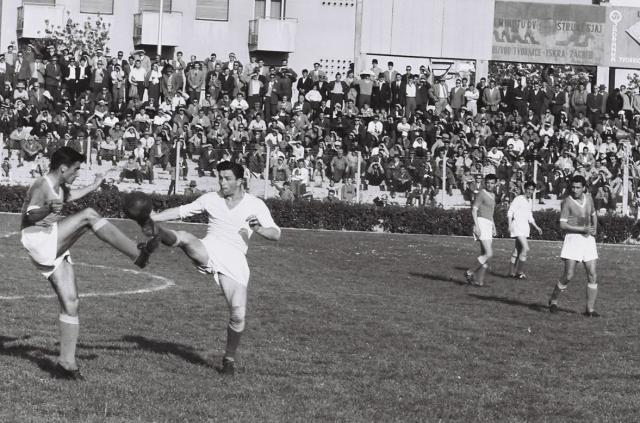 九游体育app下载-布拉泽维奇的传奇一生②:辉煌生涯,起飞于瑞士